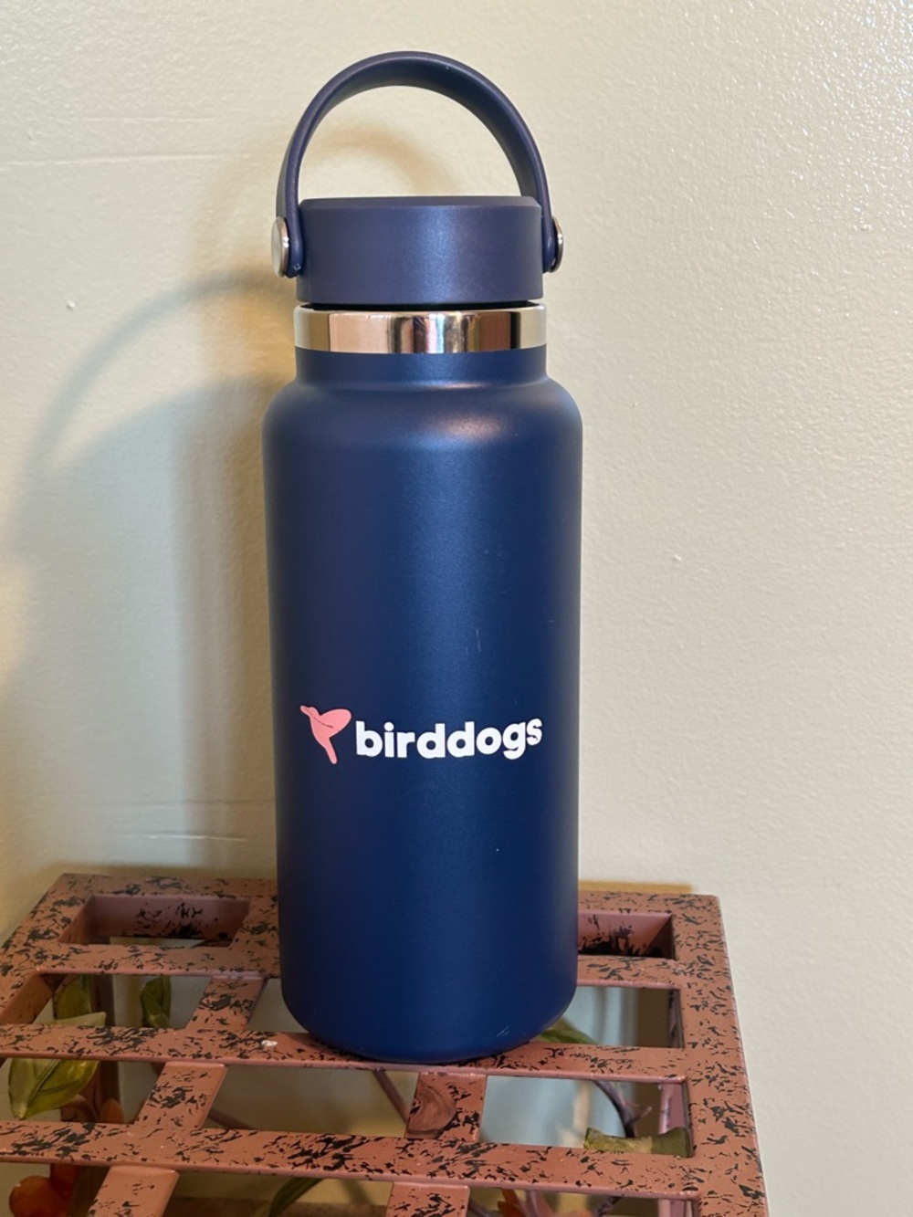 Birddogs Navy Bottle with Pink Logo and Silver Accent